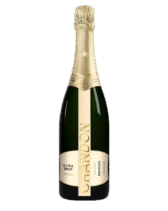 Vino espumoso argentino Chandon Extra Brut 750ml
