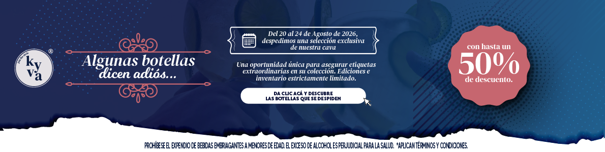 Sale Liquidación_BANNER CATEGORÍA DESKTOP 1190×300 (1)